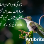 Urdu life quotes in hindi