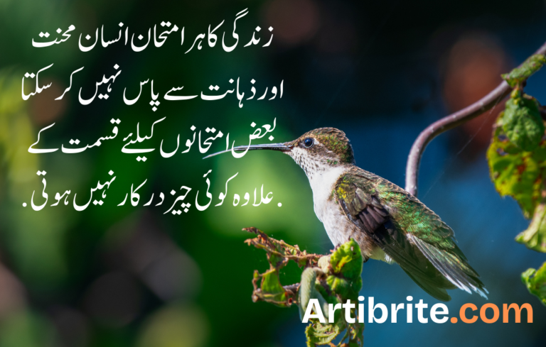 Urdu life quotes in hindi