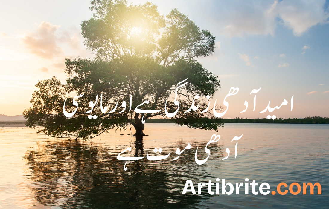 امید آدھی زندگی ہے اور مایوسی آدھی موت ہے