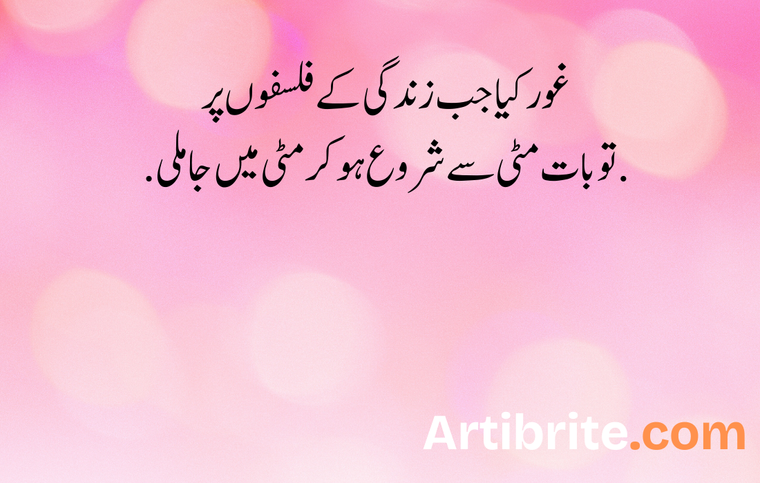 غور کیا جب زندگی کے فلسفوں پر.تو بات مٹی سے شروع ہو کر مٹی میں جا ملی.