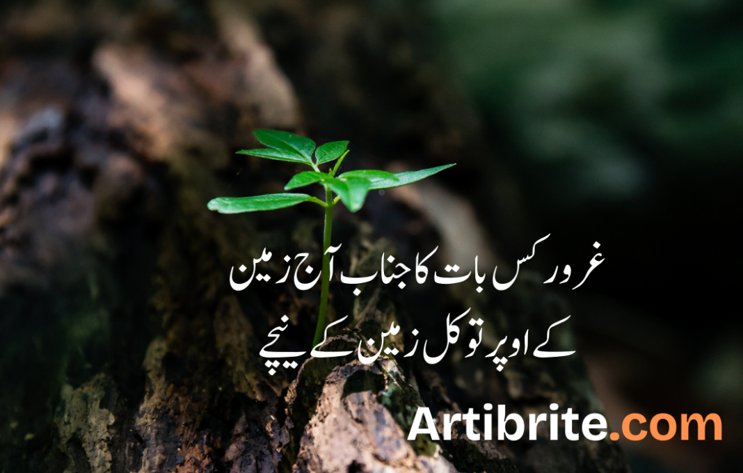 Urdu Quotes on life in Hindi