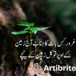 Urdu Quotes on life in Hindi