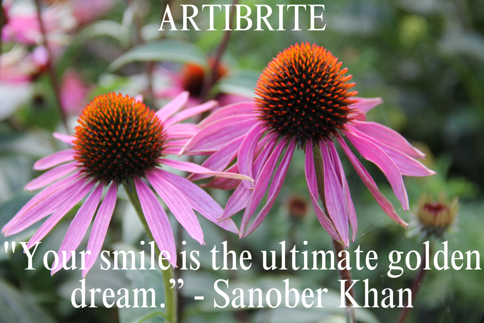 Smile Quotes