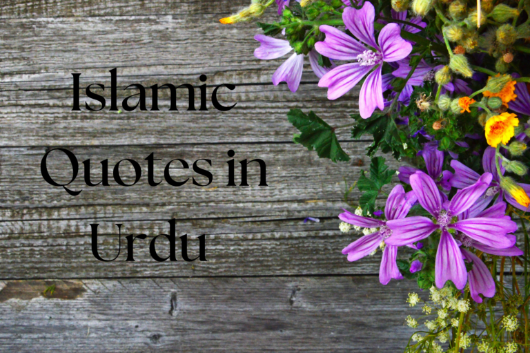 Best Islamic quotes in urdu