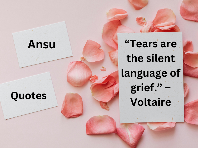 “Tears are the silent language of grief.” – Voltaire