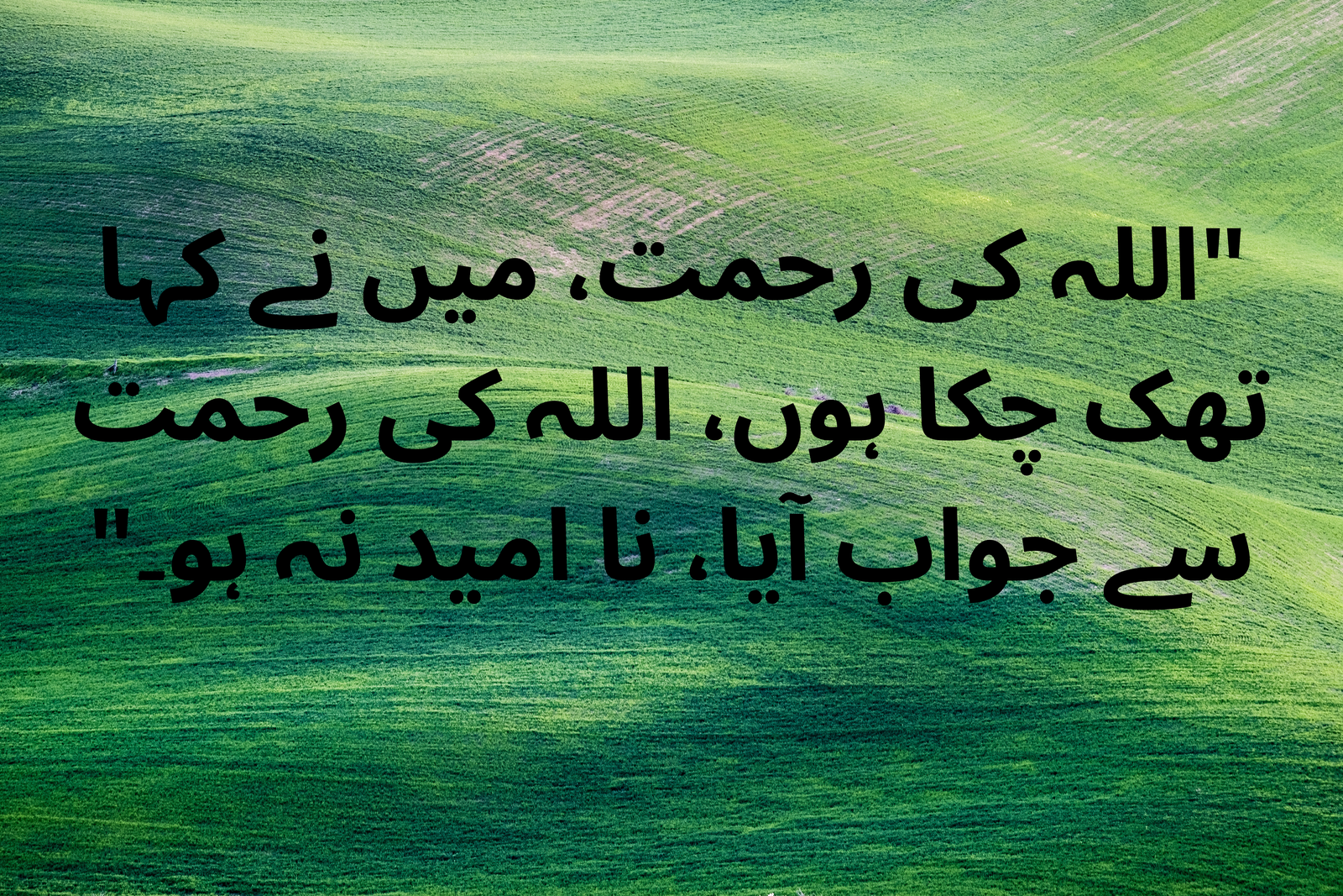 "اللہ کی رحمت، میں نے کہا تھک چکا ہوں، اللہ کی رحمت سے جواب آیا، نا امید نہ ہو۔"