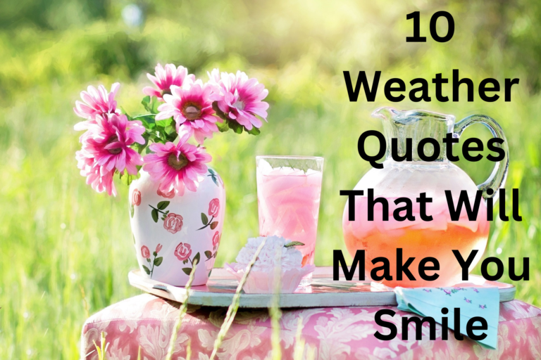 10 Weather Quotes That Will Make You Smile