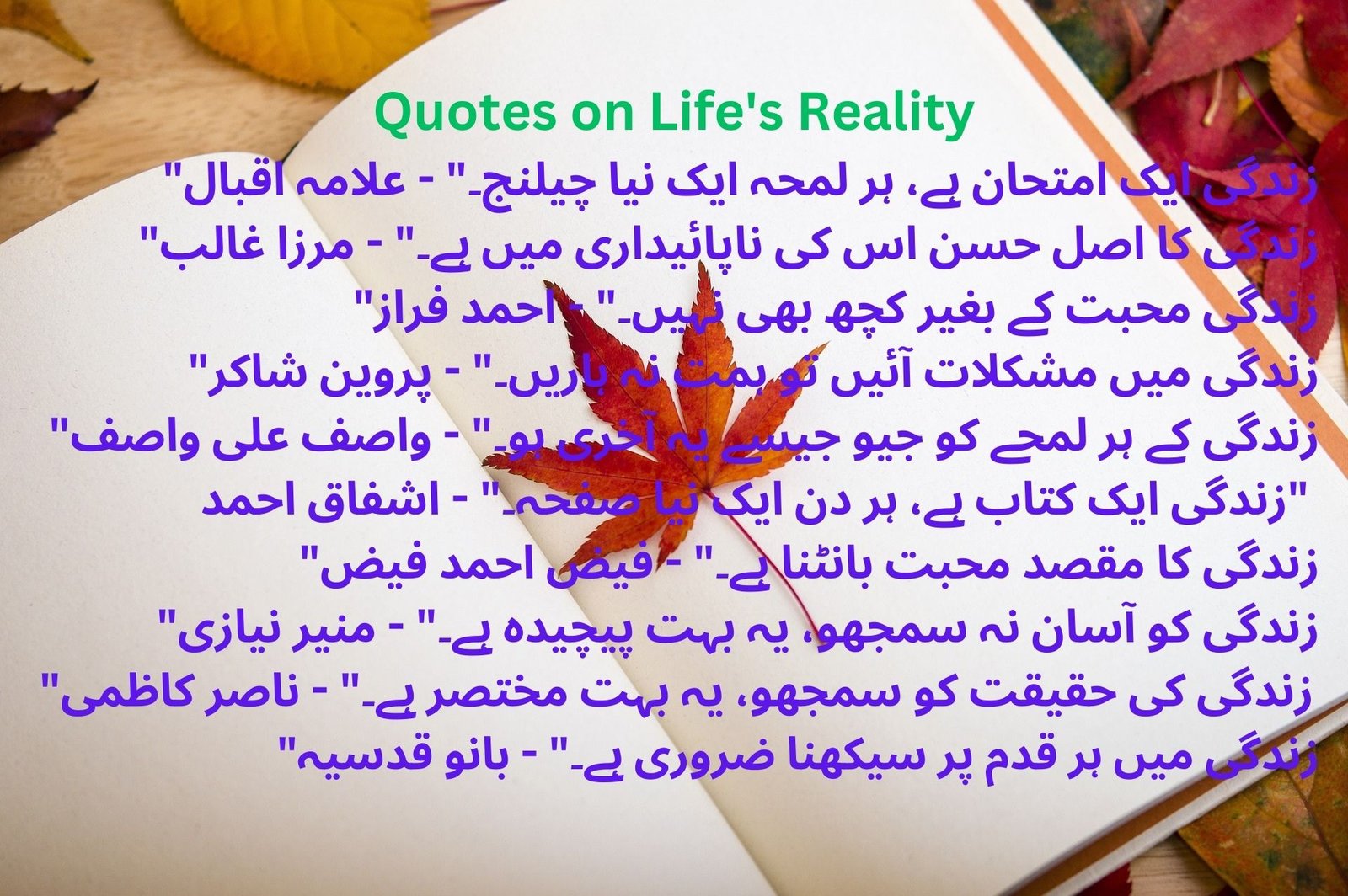 Quotes on Life's Reality